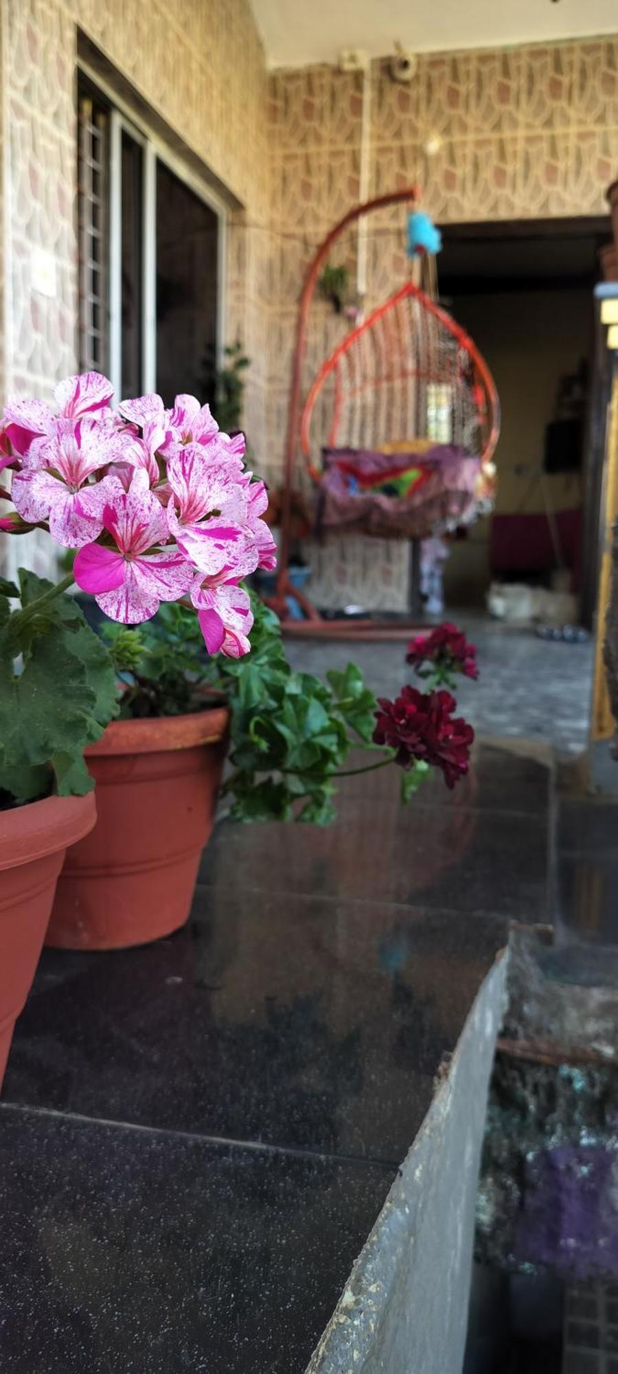 Royal Palm Homestay Madikeri Eksteriør billede