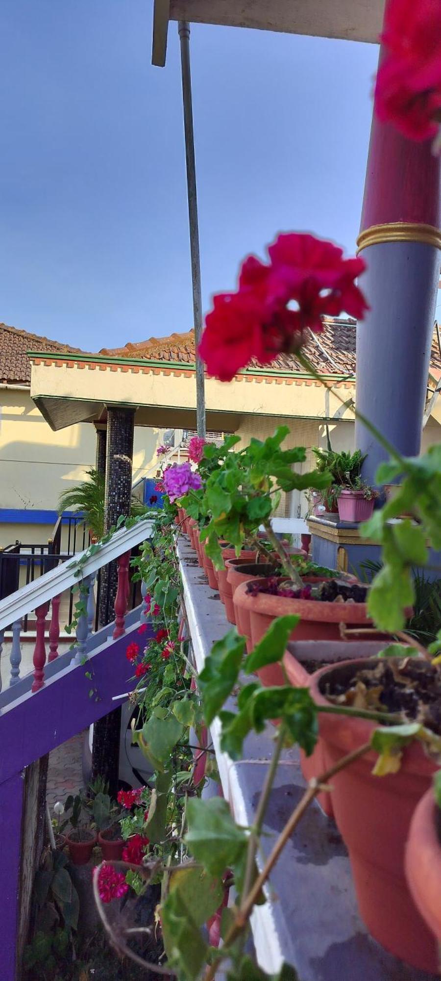 Royal Palm Homestay Madikeri Eksteriør billede