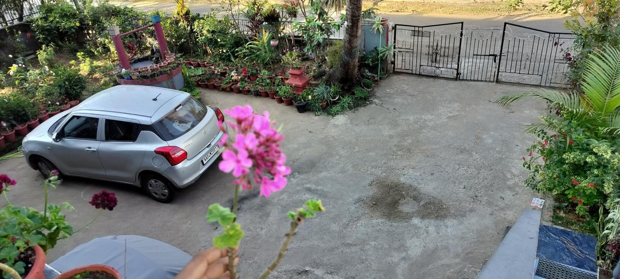 Royal Palm Homestay Madikeri Eksteriør billede
