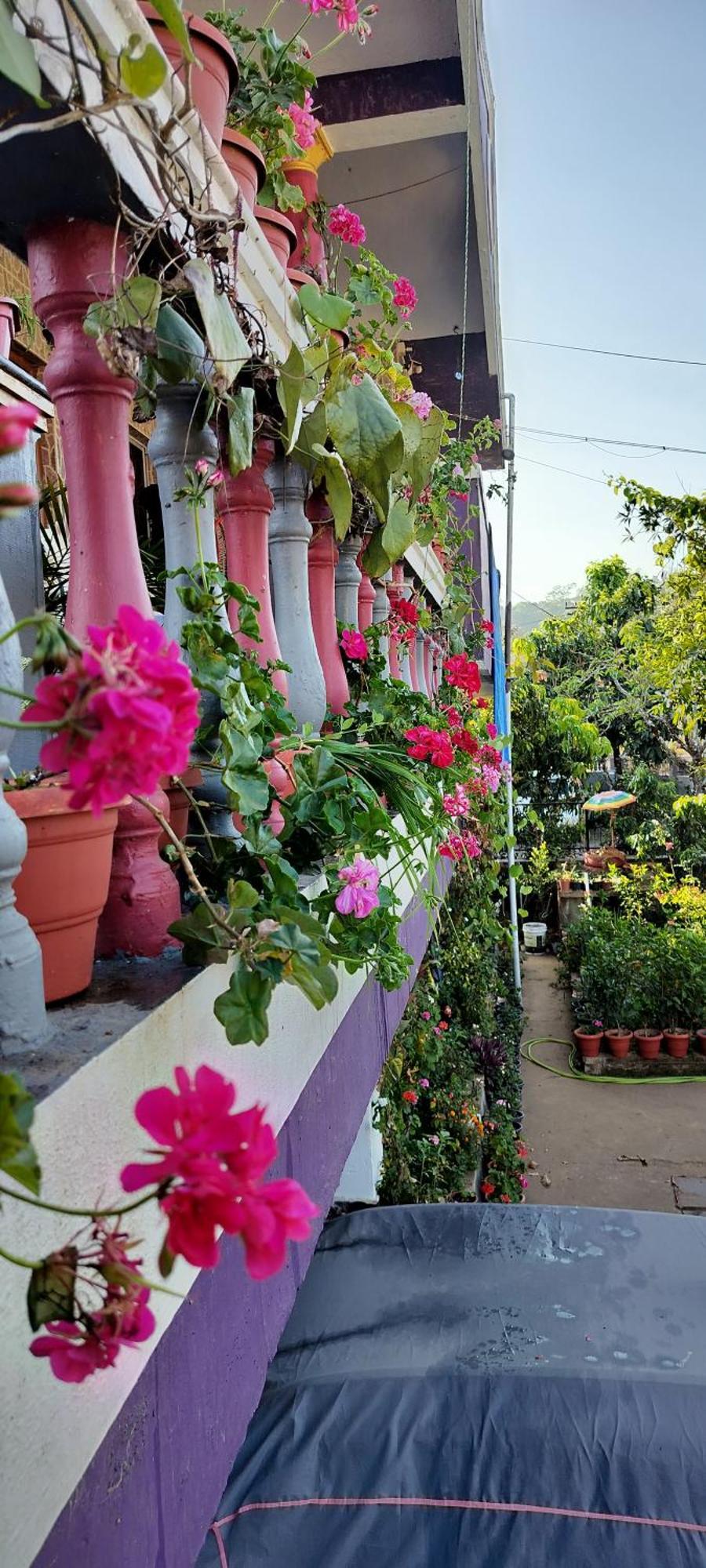 Royal Palm Homestay Madikeri Eksteriør billede