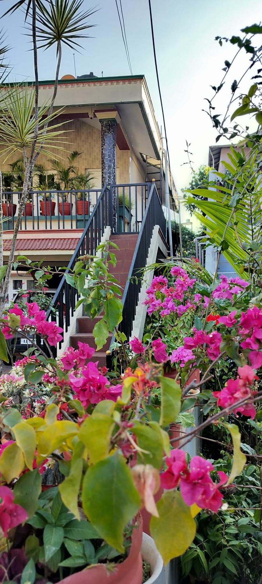 Royal Palm Homestay Madikeri Eksteriør billede