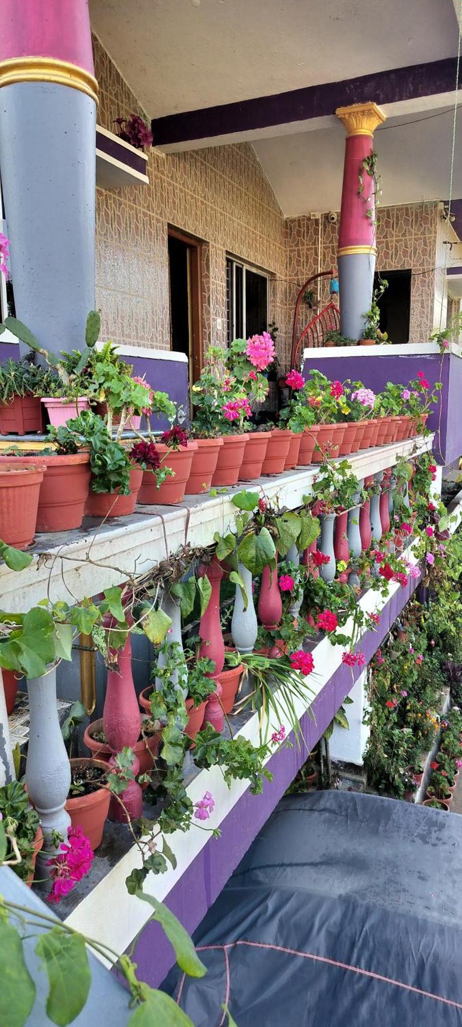Royal Palm Homestay Madikeri Eksteriør billede